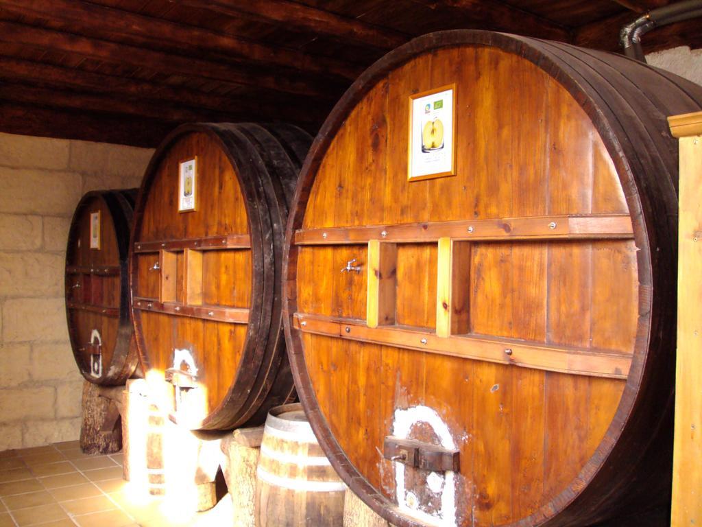 Casa Rural Arratzain Usúrbil Zewnętrze zdjęcie