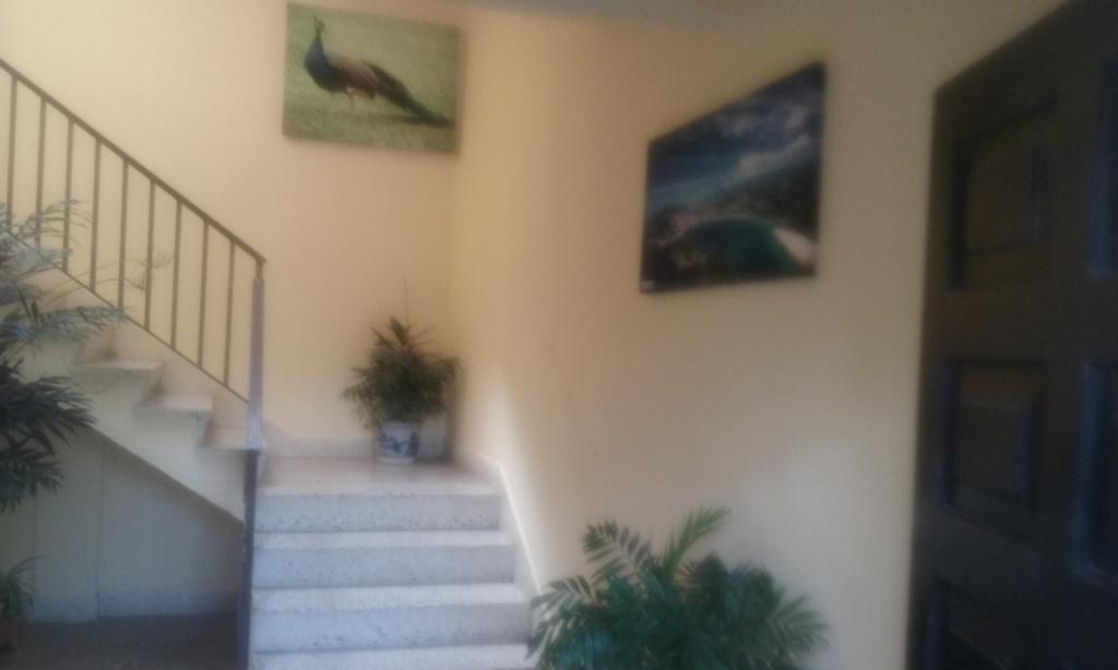 Casa Rural Arratzain Usúrbil Zewnętrze zdjęcie