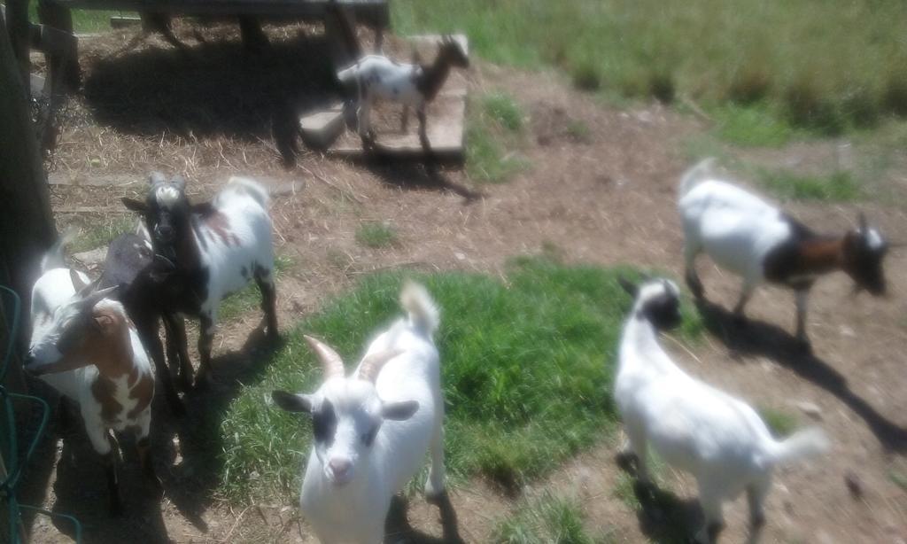Casa Rural Arratzain Usúrbil Zewnętrze zdjęcie