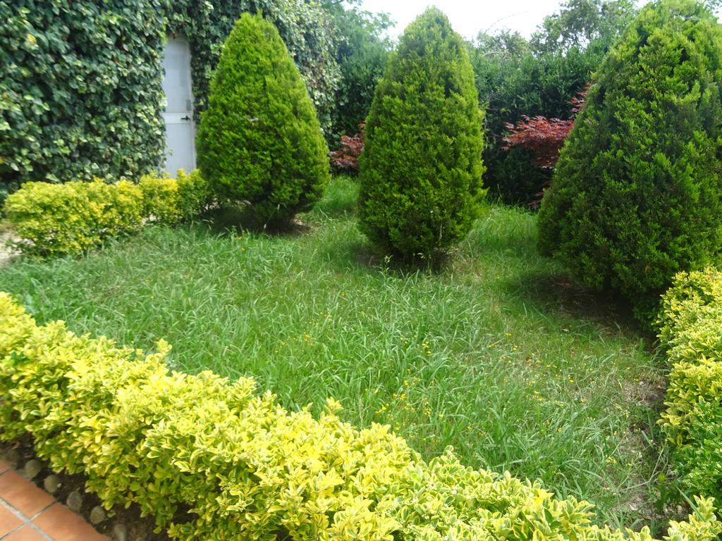 Casa Rural Arratzain Usúrbil Zewnętrze zdjęcie