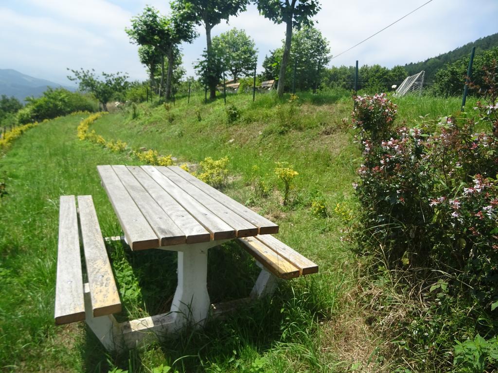 Casa Rural Arratzain Usúrbil Zewnętrze zdjęcie